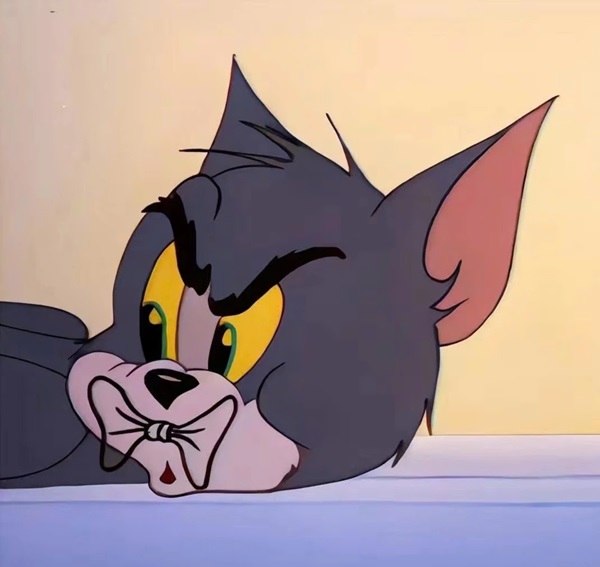 Meme Tom and Jerry 2