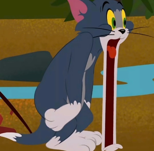 Meme Tom and Jerry 9