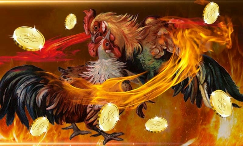 Giao diện xem đá gà trực tiếp trên nhà cái 69vn